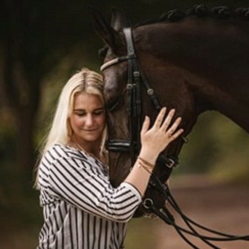 pferd franziska 500x500